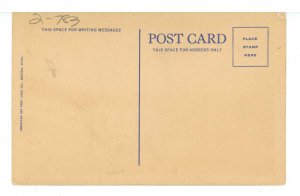 ME- Acadia National Park. Cadillac Mountain Road View