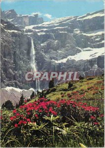 Modern Postcard Our Beautiful Pyrenees Gavarnie (H P) Rhododendrons and water...