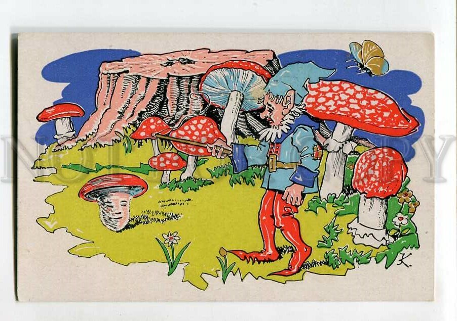 Amanita Vintage