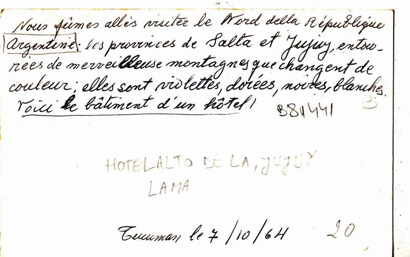 B81441 lama llama hotelalto de la jujuy   argentina front/back image