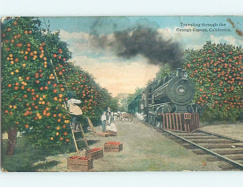 Divided-Back TRAIN GOES THROUGH ORANGE GROVE Published In Los Angeles CA HM7095