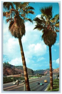 Hollywood California Postcard Hollywood Freeway Palms Frame 1963 Vintage Antique