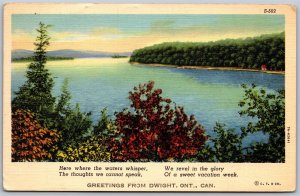 Postcard c1937 Greetings From Dwight Ontario Scenic View by Curt Teich