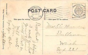 Fallen Giant Spruce Aberden, Washington, USA 1908 Missing Stamp 