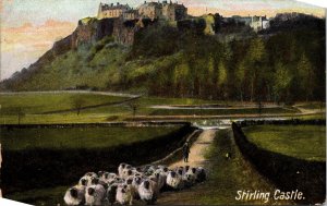 Black Faced Sheep Flock Stirling Castle early 1900's JWB London Postcard