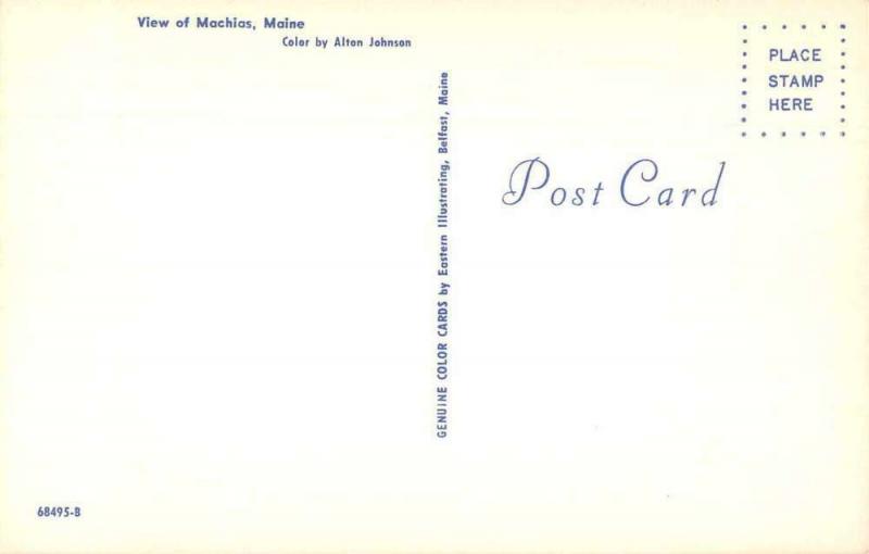 Machias Maine Scenic View Vintage Postcard JA4741436