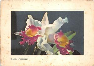 B3315 Fleurs Orquidea Orchild Venezuela 1967   front/back scan