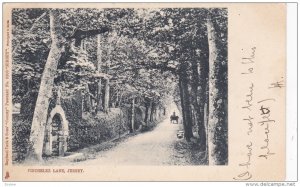 JERSEY, UK, 1900-1910's; Vinchelez Lane