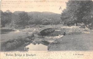 BR62587 roman bridge at blackpill  wales