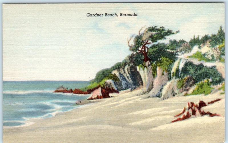 GARDNER BEACH, BERMUDA   View of the Beach  ca 1940s Linen  Postcard