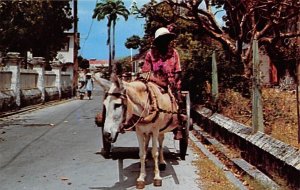 Donkey Cart Vendor Barbados West Indies Unused 