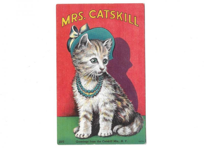 Mrs. Catskill Cat Wearing pearls and hat Greetings from the Catskill Mts. N Y