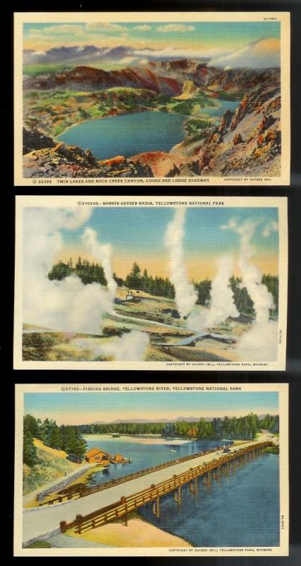 USA (31) Diff Western Scenery Yellowstone unused c1920-1940