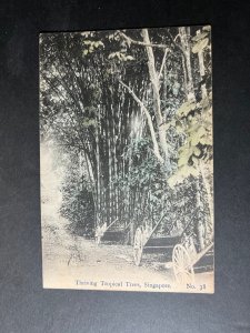 Mint Singapore Postcard Thriving Tropical Trees No 38