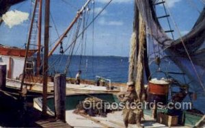 Caloosahatchee River, Fort Myers, Florida USA Fishing 1956 light paper wear l...