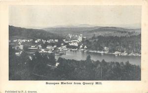 Sunapee New Hampshire~Overlooking Sunapee Harbor from Quarry Hill~c1905 B&W Pc