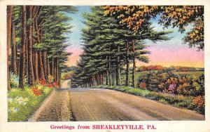 Greetings from Sheakleyville Sheakleyville, Pennsylvania PA  