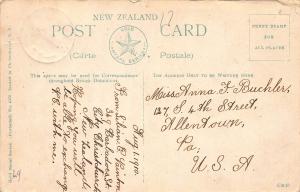 Suprise Cove, Lake Manapouri, New Zealand, Early Postcard, Used in 1910