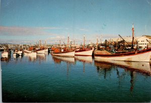 Soutn Africa Western Cape Lamberts Bay Fishing BOats In The Harbour 1981