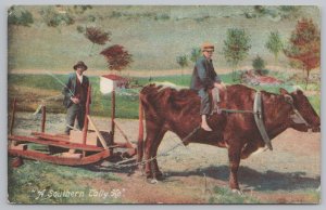 Animal~Cow Yoked To Sled~Boy On Back~Southern Tally Ho~PM c1910 Postcard