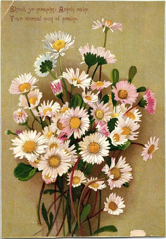 c1880 GREAT A&P TEA CO NEW YORK BAKING POWDERF FLOWERS AD TRADE CARD 40-100