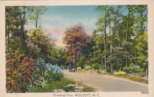 New York Greetings From Wolcott