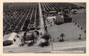 San Juan Texas Stugard Ranch Orchard Birds Eye View Vintage Postcard AA17868