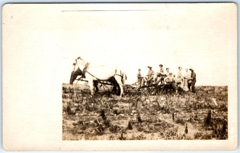 c1900s Farmer Men & Women Horse Drawn Implement RPPC Plow Field Real Photo A135