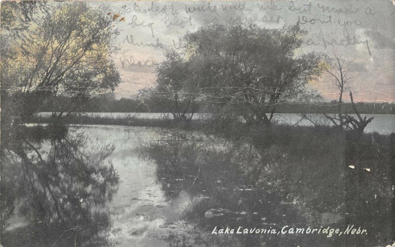 Cambridge Nebraska 1911 Postcard Lake Lavonia Europe United Kingdom