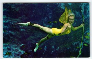 Weeki Wachee Florida Postcard Winged Swimsuit Mermaid Underwater Show Chrome