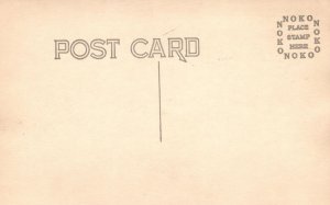 Vintage Postcard Grassy Forest Trees Woods Scene Nature