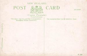 Whangarei Falls, New Zealand, Early Postcard, Unused