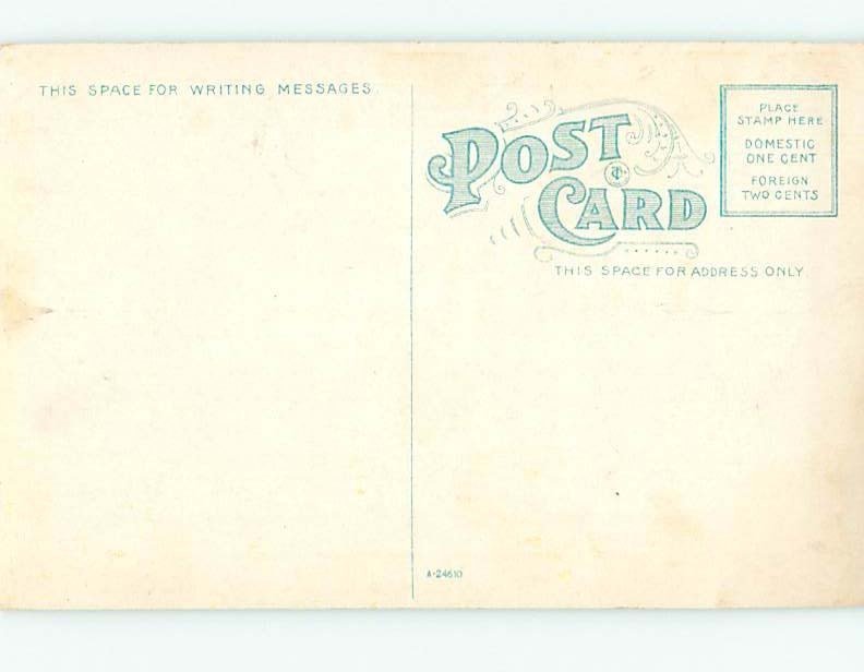 Unused Divided-Back HIGH SCHOOL Buffalo New York NY k0255
