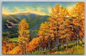 When Autumn Paints The Trees & Hills in Magic Colors Postcard