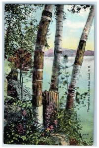 c1950's Through The Birches Lake River Bear Island New Hampshire NH Postcard