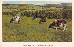 Bridgetown Nova Scotia Canada Cows Scenic View Vintage Postcard JE359538