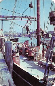 Fishing Vessel Unloading Red Snapper Gulf of Mexico - Pensacola, Florida FL  