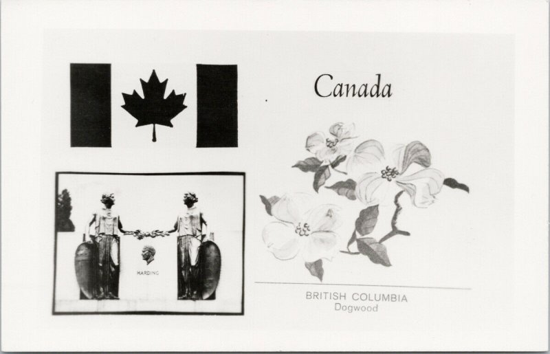 British Columbia Dogwood Flower Harding Canada Patriotic Real Photo Postcard E94