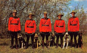 Canadian Mountie Dog Handlers RCMP Police Canada 1958 postcard