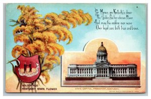 Vintage 1911 Postcard State Flower Seal & Capitol Building Frankfort Kentucky