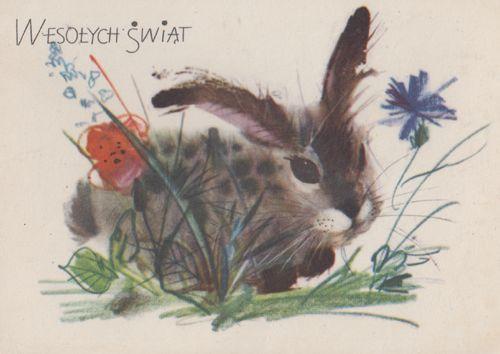 Polish Rabbit Eating Grass Poland Happy Easter Postcard
