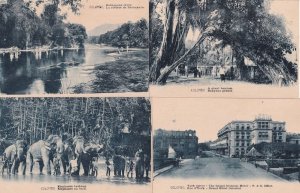 Colombo Elephants Hotel A Giant Banyan River 4x Postcard s