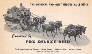 Fox Deluxe Beer Chicago, Illinois, USA Unused 