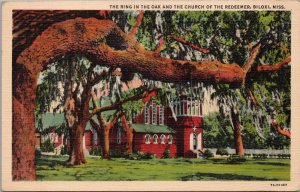 The Ring in the Oak & Church of the Redeemer Biloxi Mississippi Postcard PC516