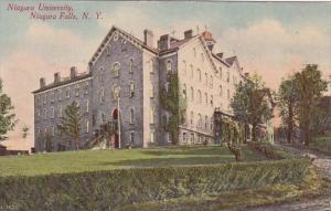 New York Niagara Falls Niagara University