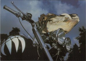 Transport Postcard-Skull Bike, Motorcycles, Bike Art, Birmingham Museum RR19970