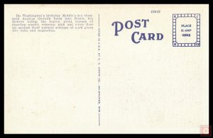 Azalea Trail, Mobile, Alabama