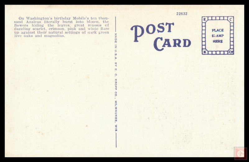 Azalea Trail, Mobile, Alabama