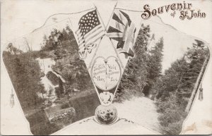 Souvenir ot St. John NB Rockwood Park Patriotic c1905 Chas Mitchell Postcard G41