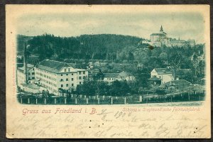 h3524 AUSTRIA Czechia 1900 BAHNPOST on Gruss aus Friedland Picture Postcard. RPO